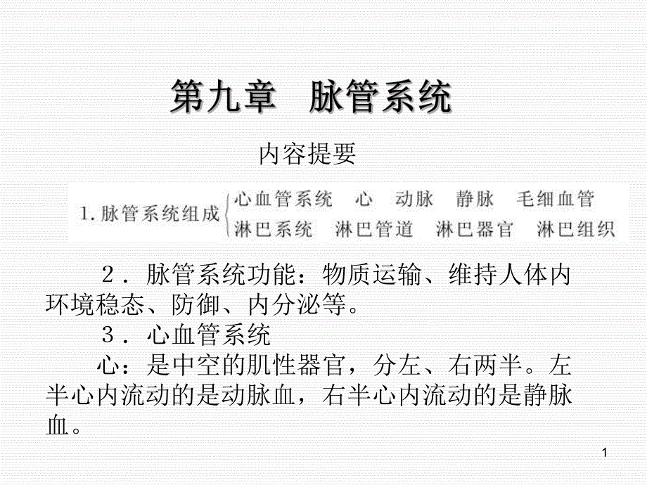 解剖学课件脉管系统.ppt_第1页