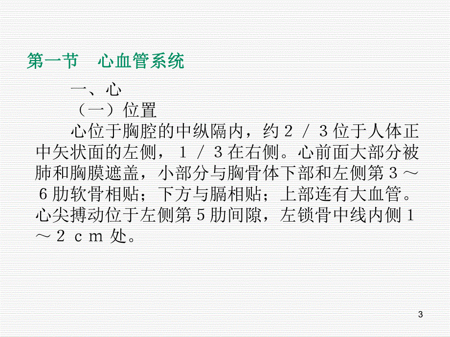 解剖学课件脉管系统.ppt_第3页