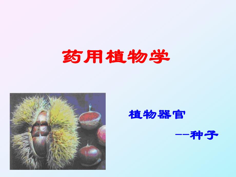 药用植物学课件植物种子.ppt_第1页