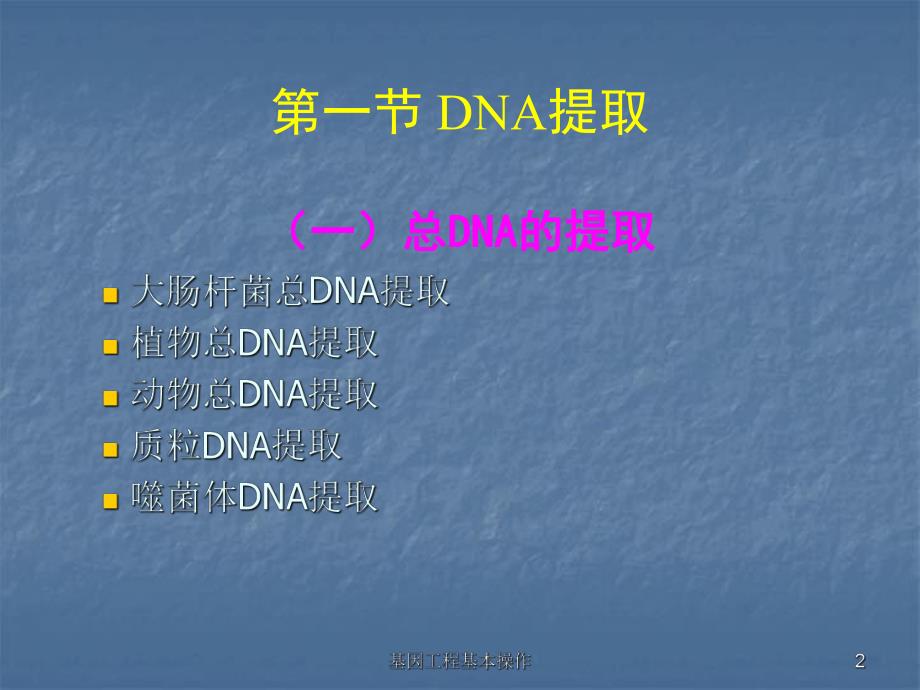 自学内容1基因工程基本操作.ppt_第2页