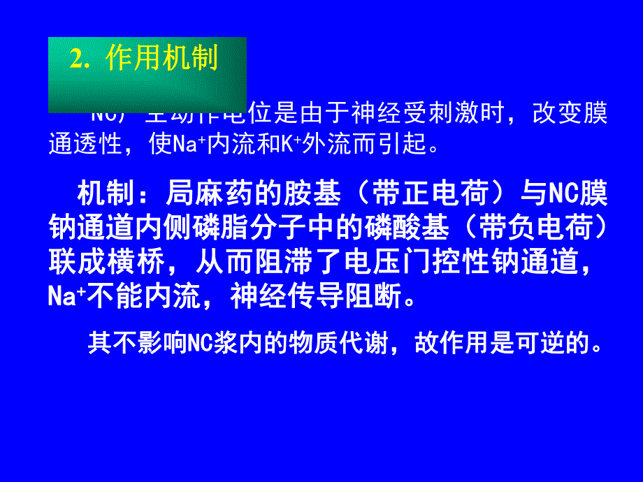 药理学课件第十章麻醉药.ppt_第3页