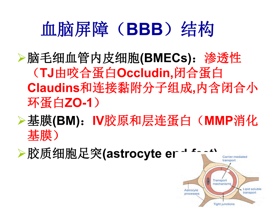 药物与脑屏障基础知识PPT课件.ppt_第3页