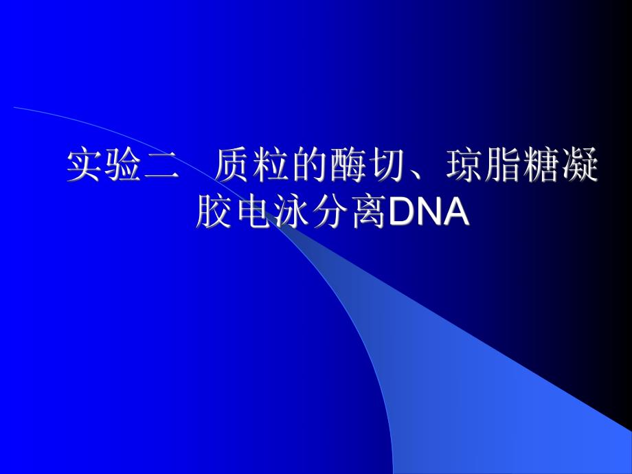 质粒的酶切琼脂糖凝胶电泳分离DNA.ppt_第1页