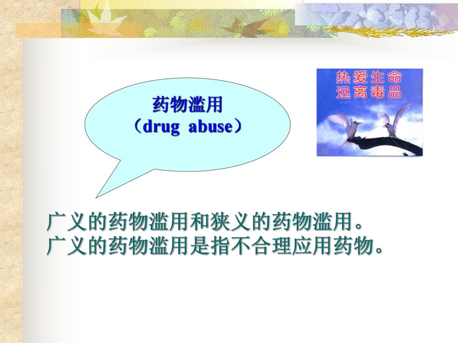 药物依赖性与药物滥用防治.ppt_第2页