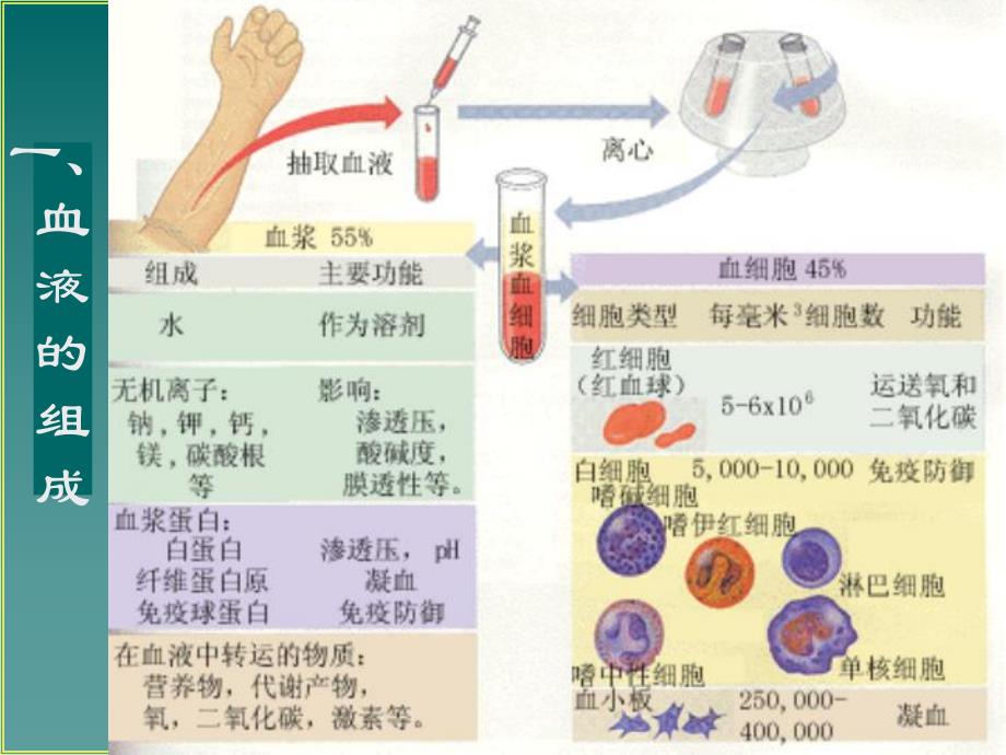 血浆血清全血的区别.ppt_第3页