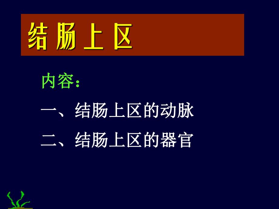 腹部结肠上下区.ppt_第1页