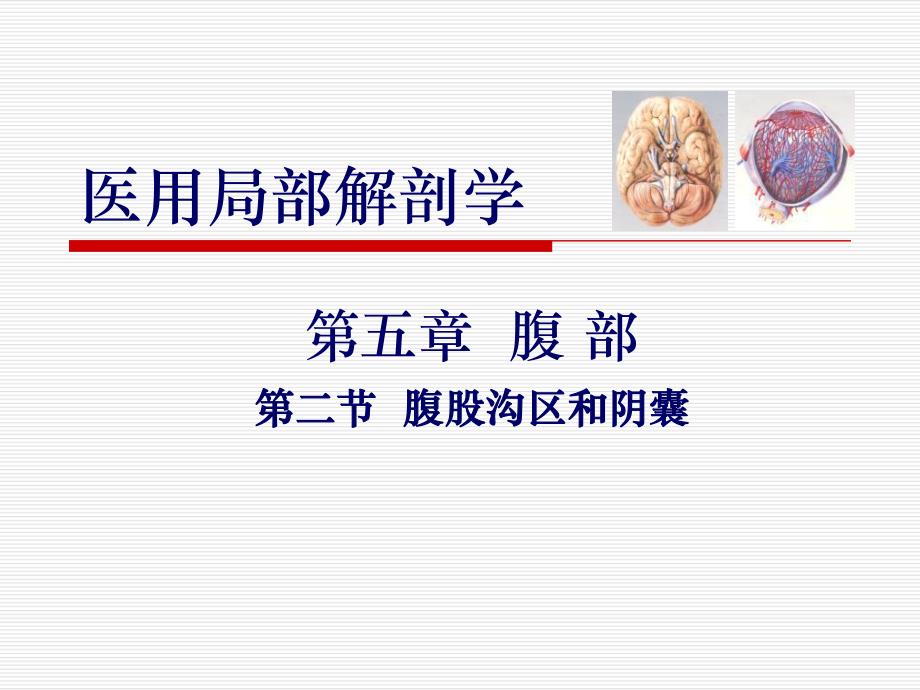 腹股沟区和阴囊.ppt_第1页