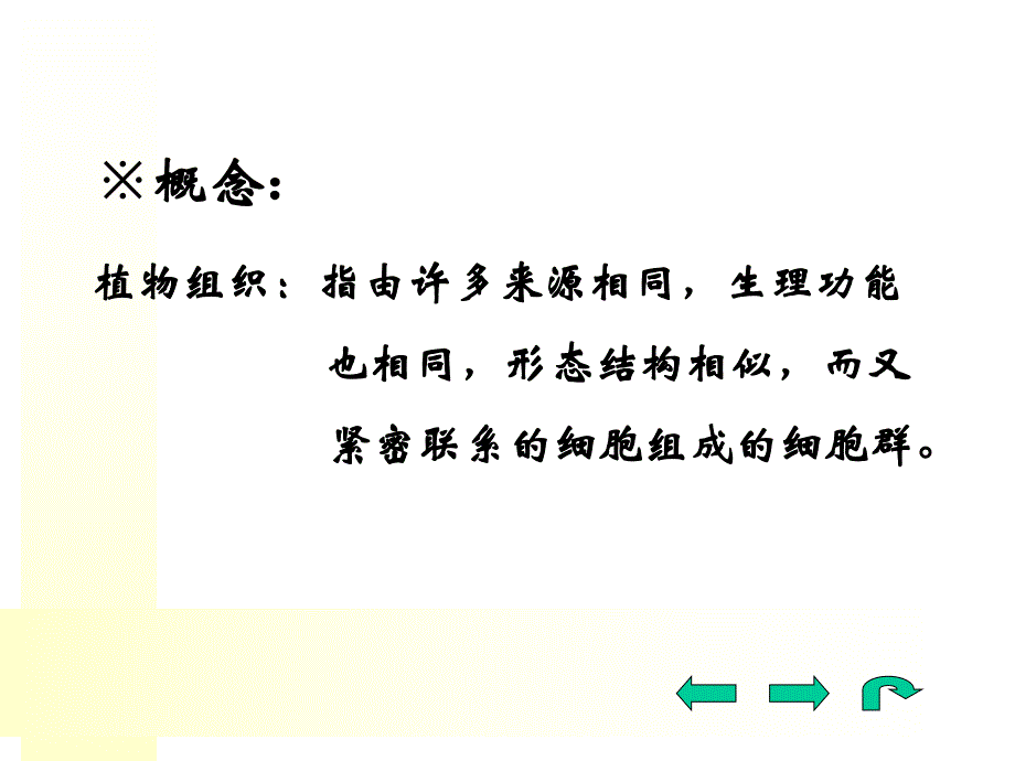 药用植物学专科课件二植物组织.ppt_第3页