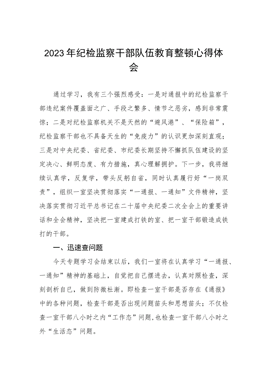 2023纪检监察干部队伍教育整顿心得体会研讨发言稿(5篇).docx_第1页