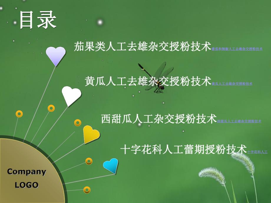 蔬菜人工授粉技术.ppt_第2页