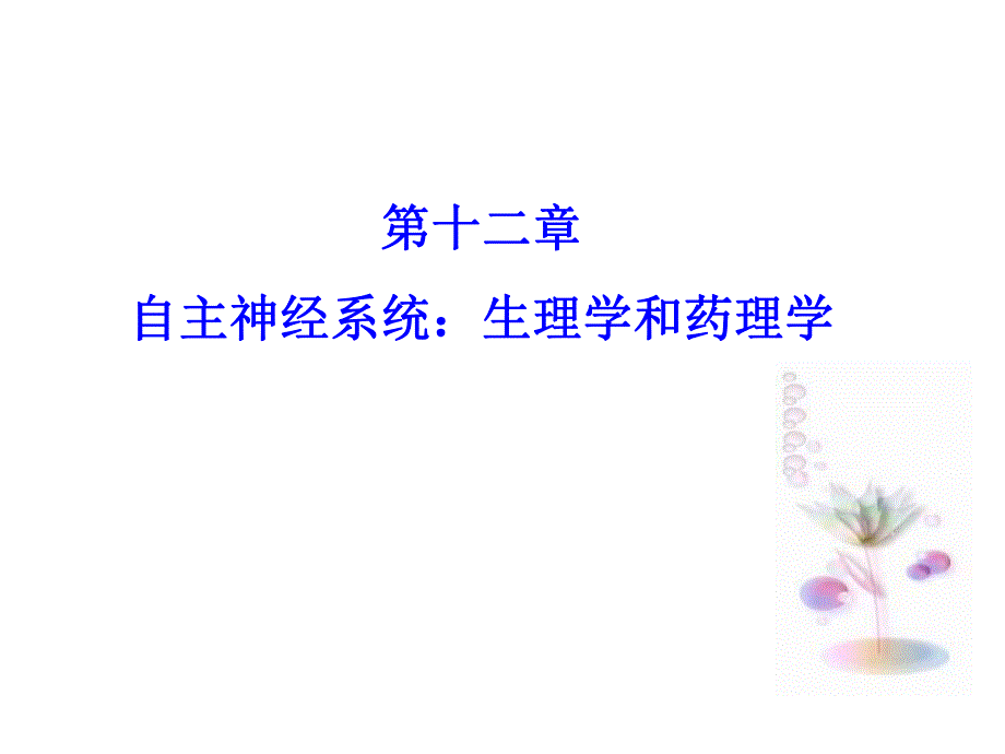 自主神经系统.ppt_第1页