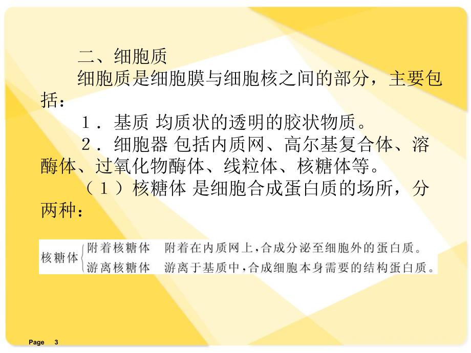 解剖学课件细胞.ppt_第3页