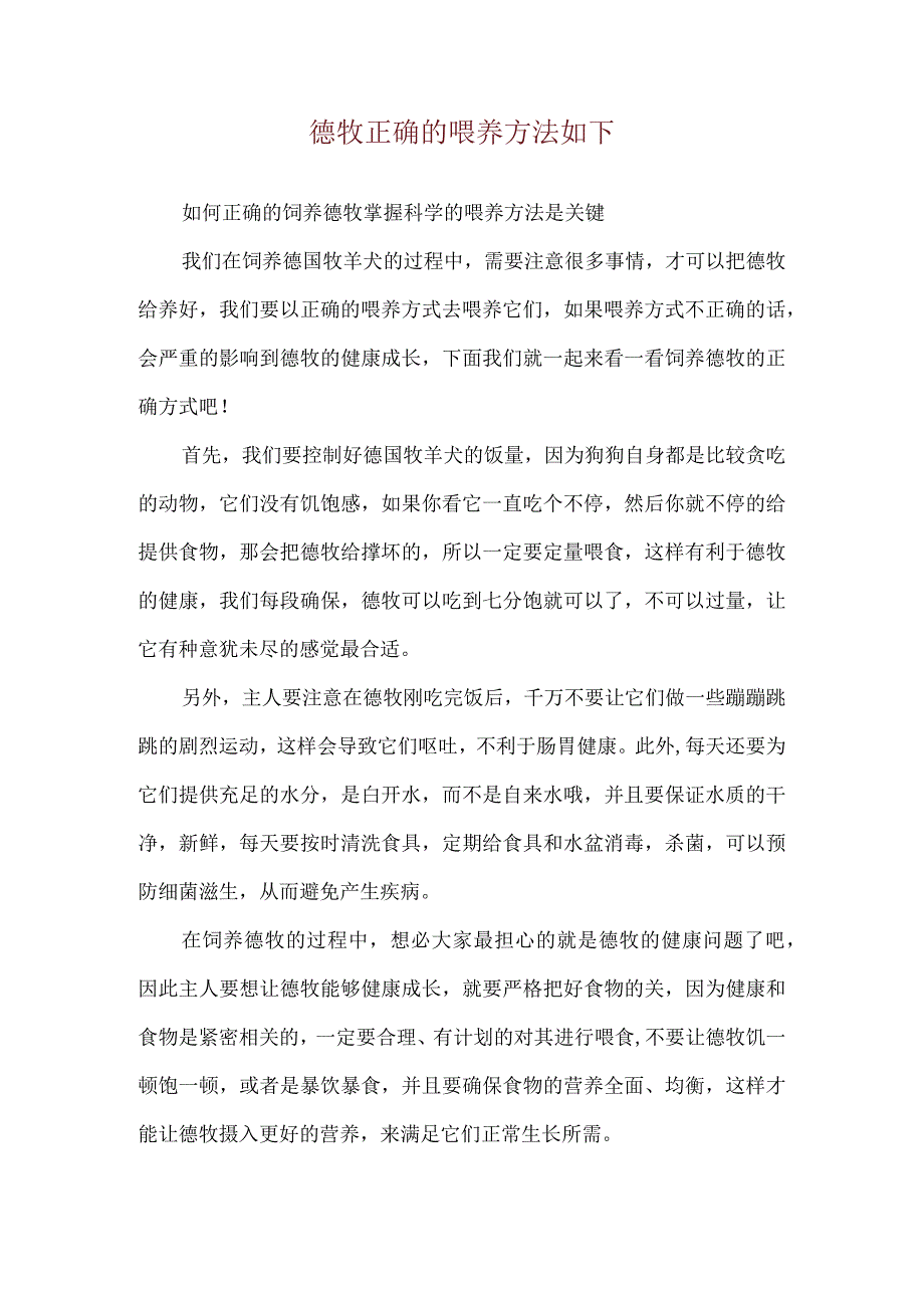 德牧正确的喂养方法如下.docx_第1页