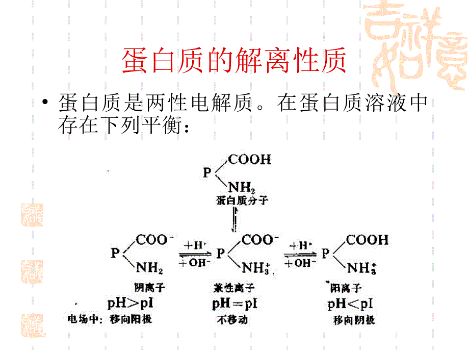 蛋白质等电点的测定.ppt_第3页