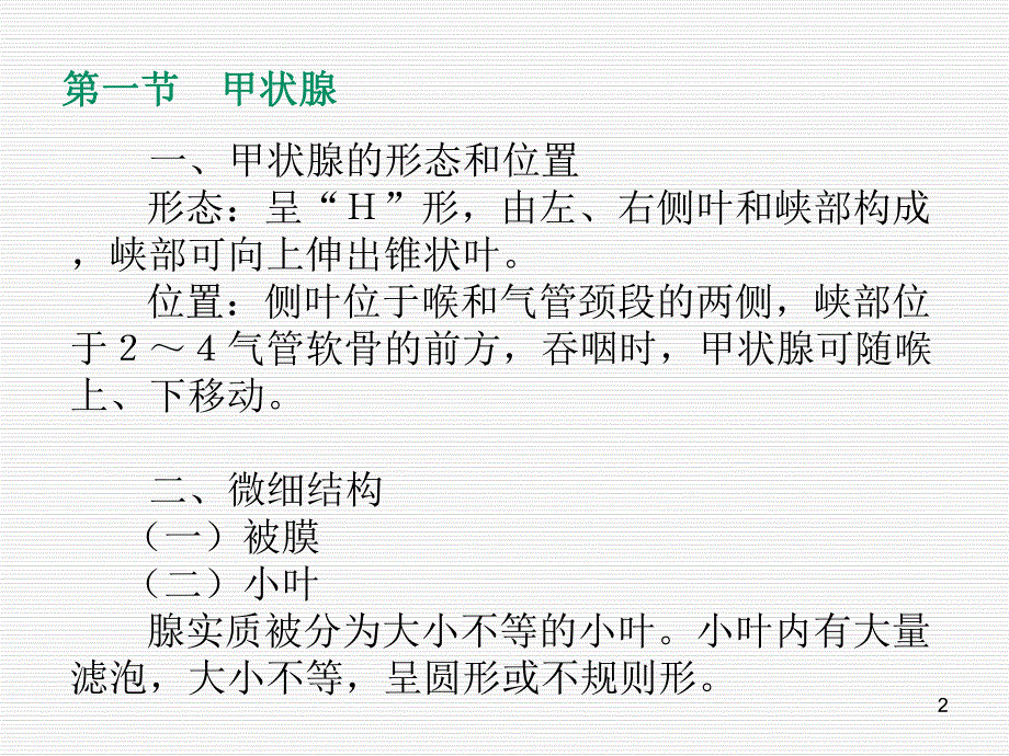 解剖学课件内分泌系统.ppt_第2页