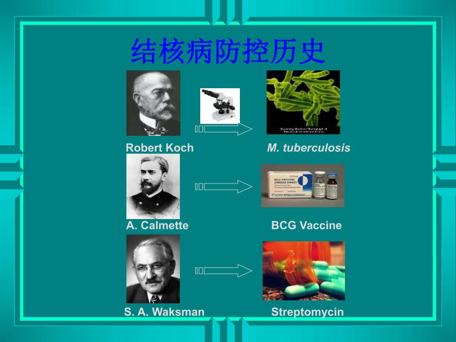 药理学精品教学汕头大学第四十四章抗结核病药.ppt_第2页