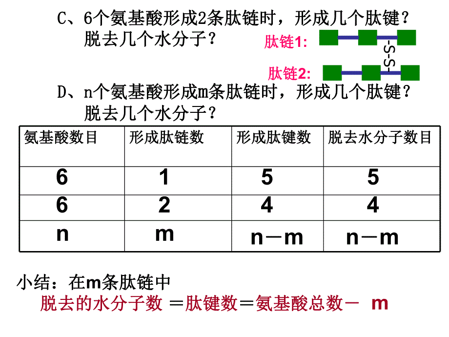 蛋白质计算题.ppt_第2页