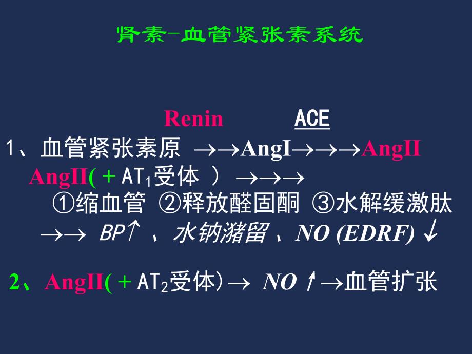 药理学第2版23肾素血管紧张素.ppt_第3页