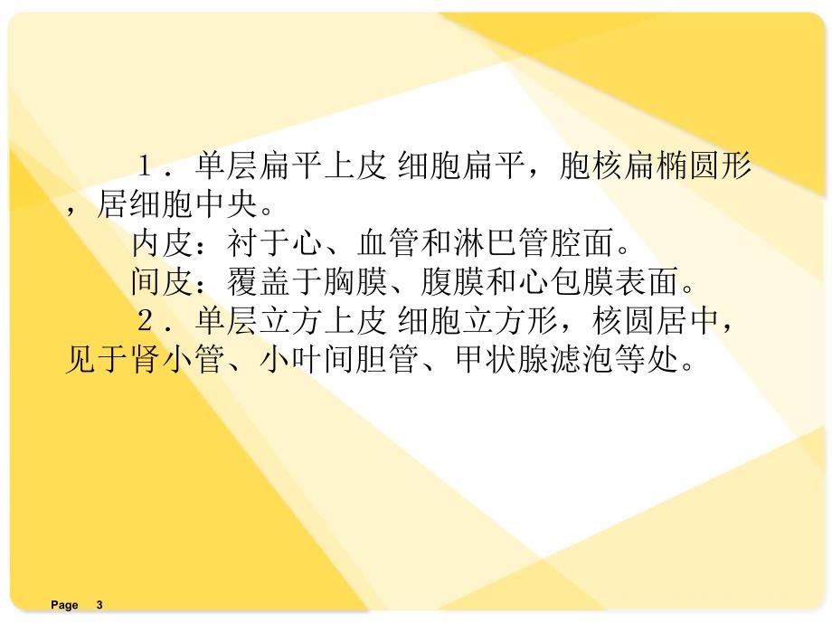 解剖学课件基本组织.ppt_第3页