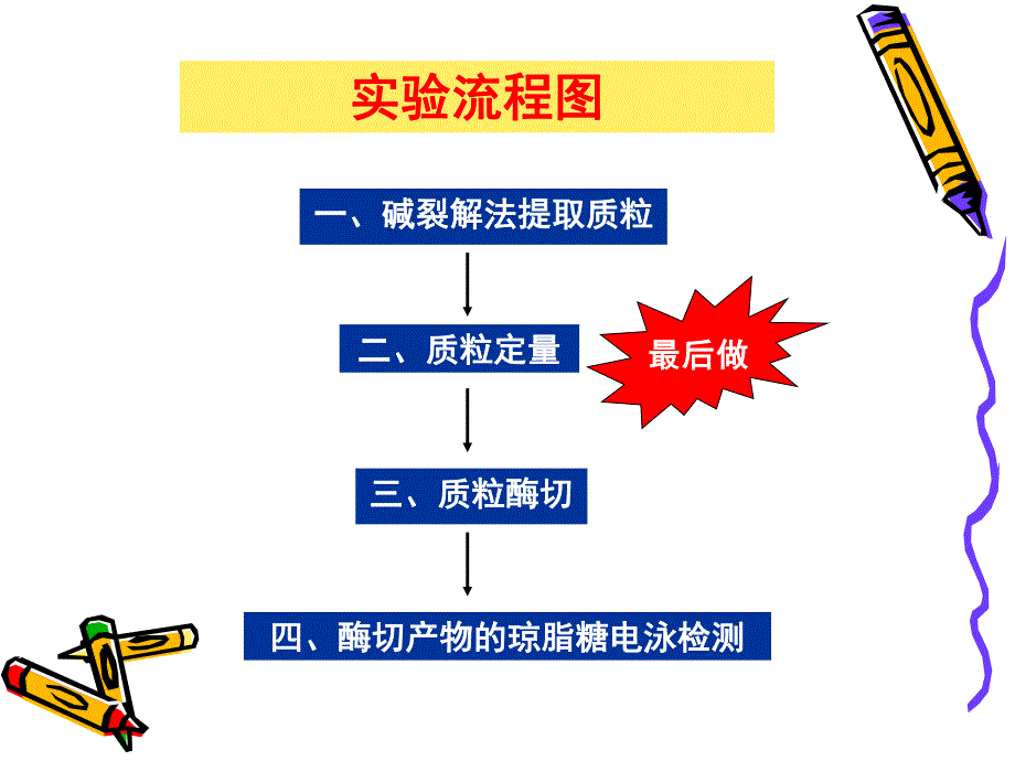 质粒提取定量与酶切鉴定.ppt_第2页