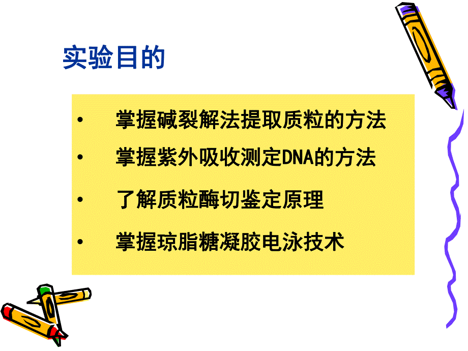 质粒提取定量与酶切鉴定.ppt_第3页