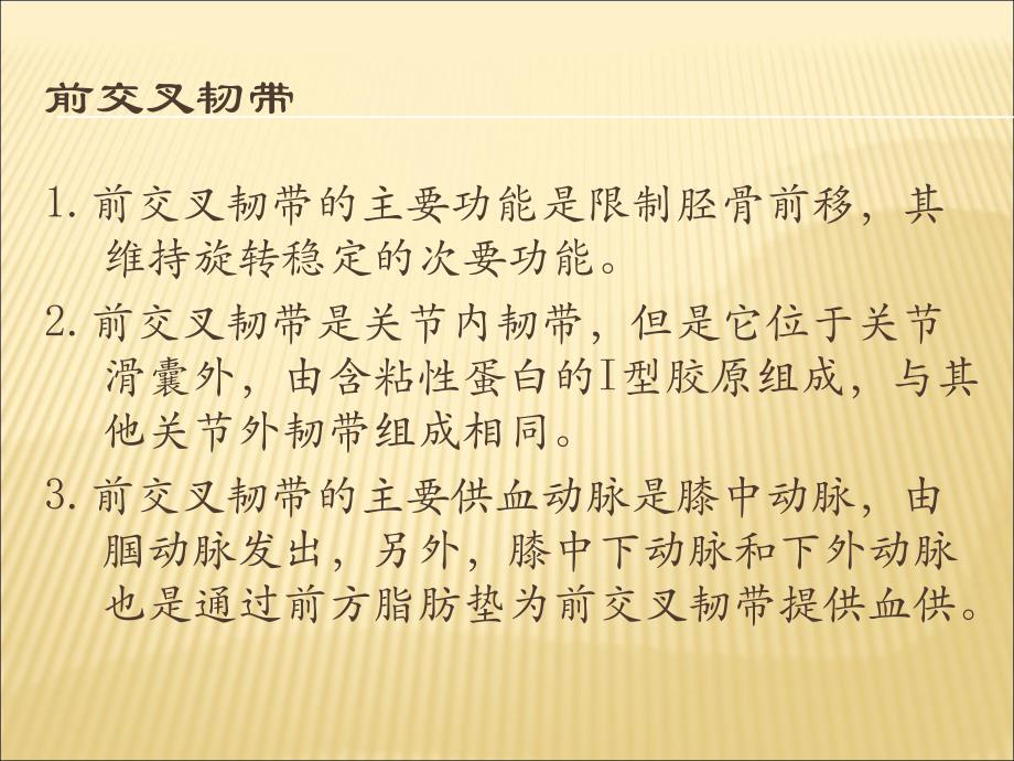 膝关节前交叉韧带的解剖.ppt_第3页