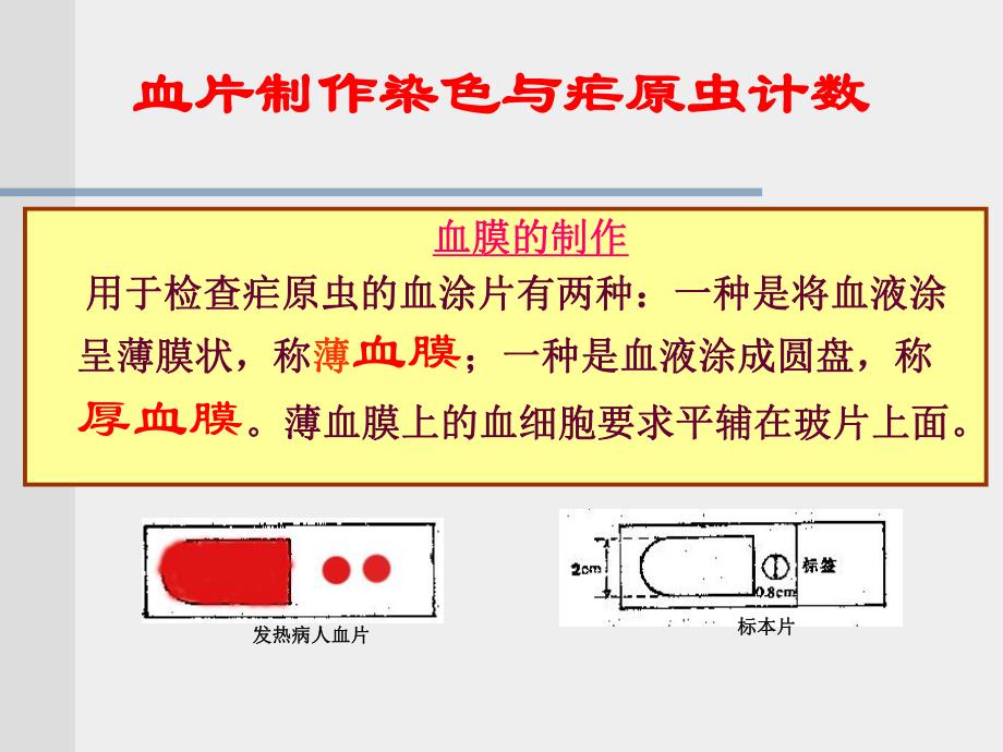 血片制作改.ppt_第1页