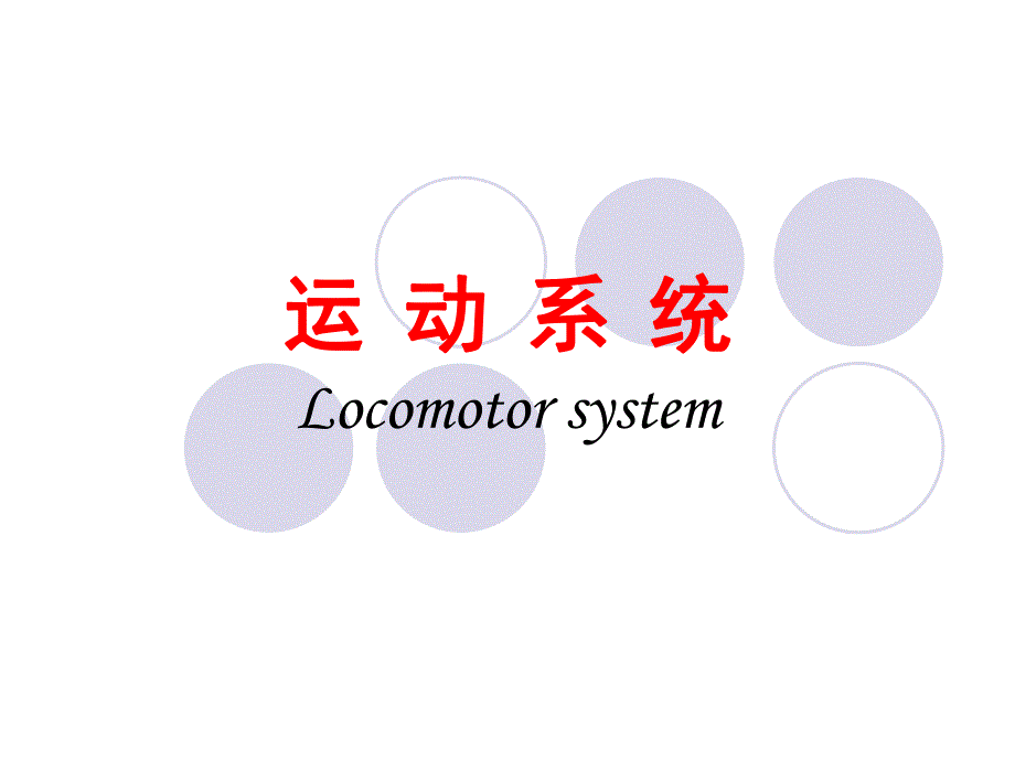 运动系统总论osteologyThebonesoftrunk.ppt_第1页