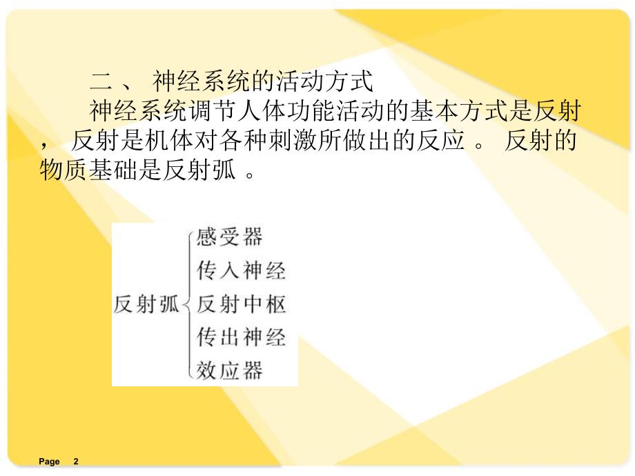 解剖学课件神经系统.ppt_第2页