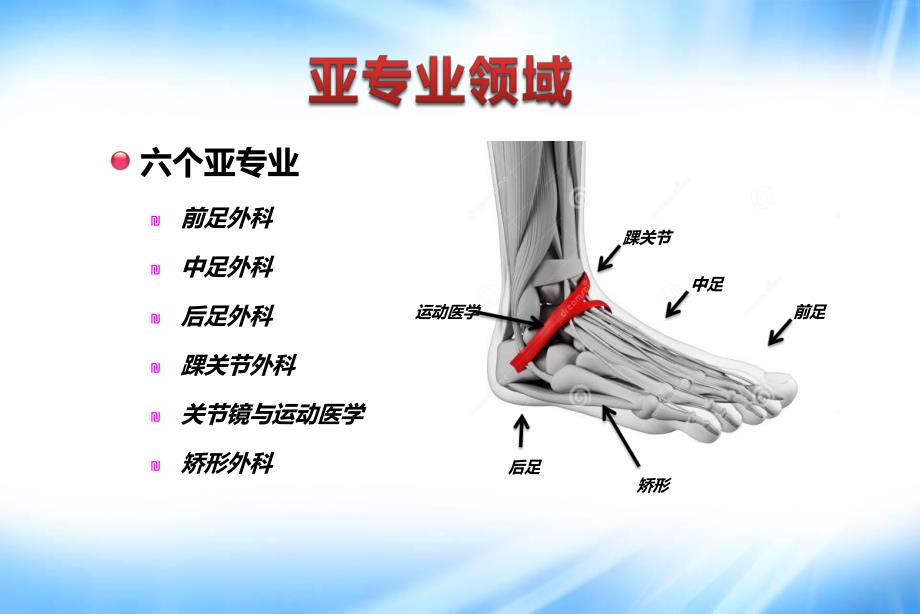 足踝外科热点与问题.ppt_第3页