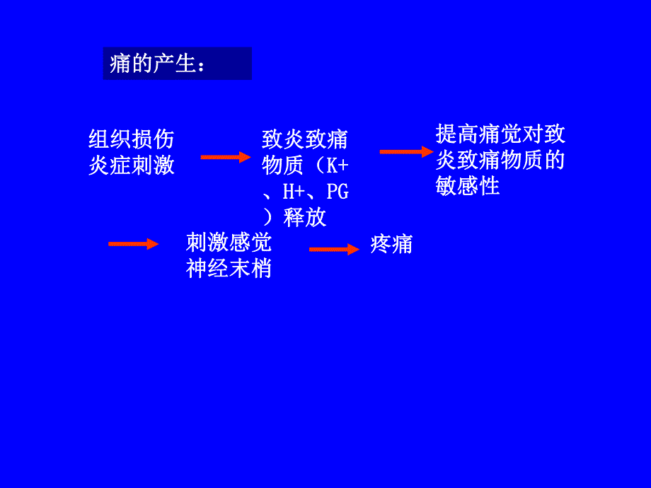 药理学第十五章镇痛药.ppt_第3页