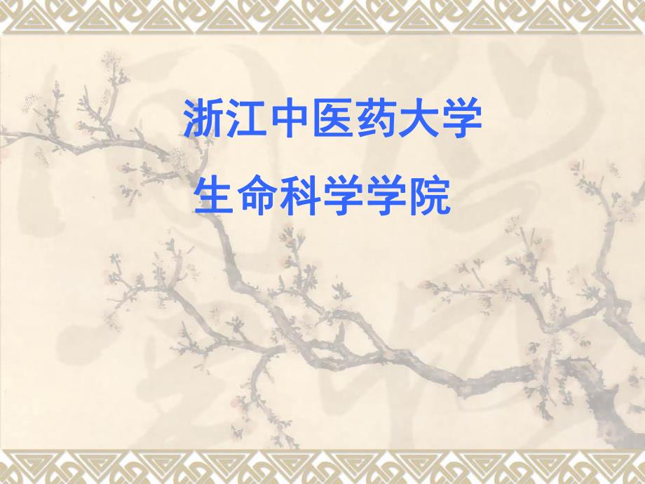 蛋白质的定量测定一双缩脲法.ppt_第1页