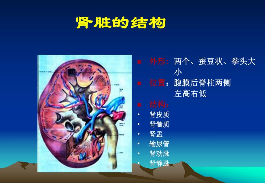 营养饮食宣教1.ppt_第2页