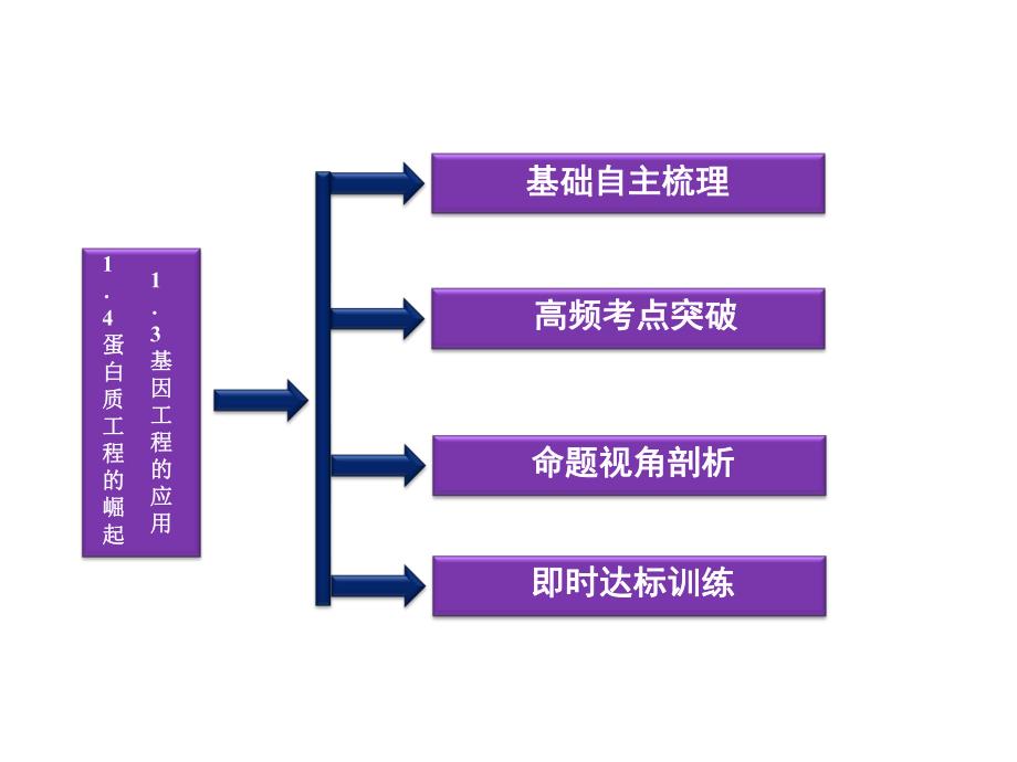 蛋白质工程的崛起2.ppt_第2页