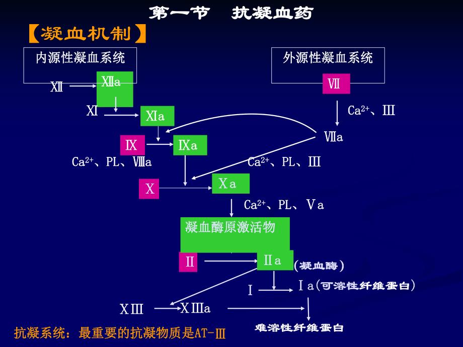 血液系统药讲课.ppt_第2页