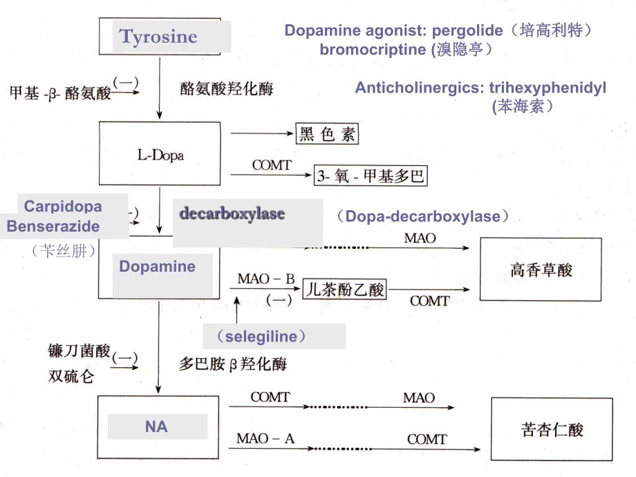 药理学第三章.ppt_第2页