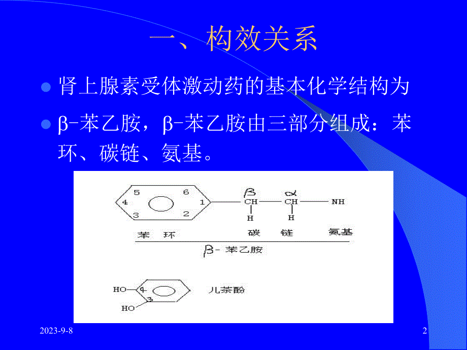 药理学第10章肾上腺素受体激动药.ppt_第2页