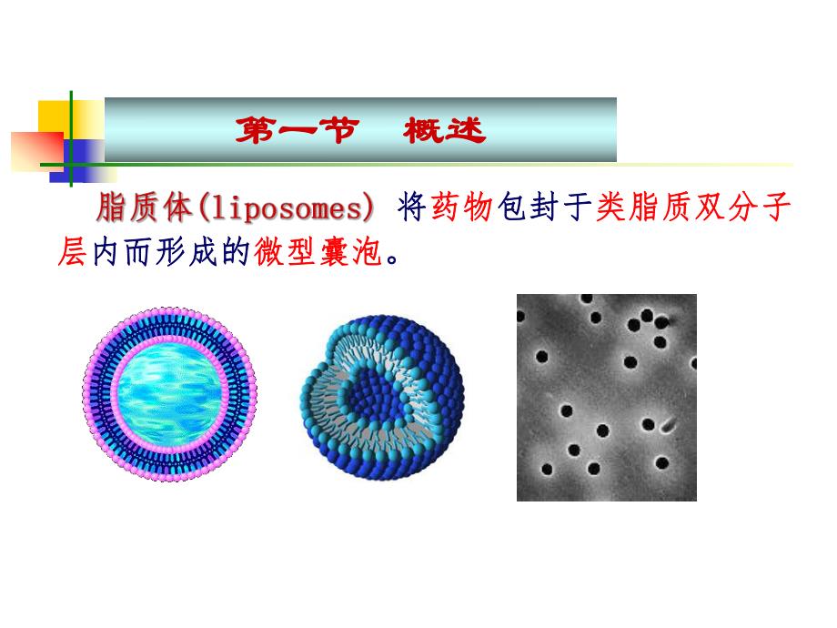 药剂学课件脂质体课件.ppt_第3页