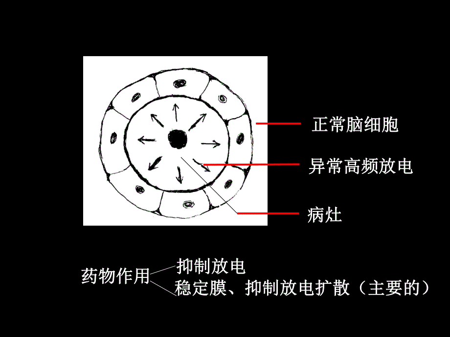 药理学第2版16抗癫痫药.ppt_第3页