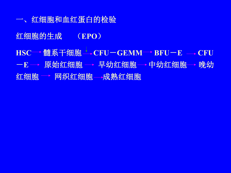 血液的一般检查.ppt_第2页