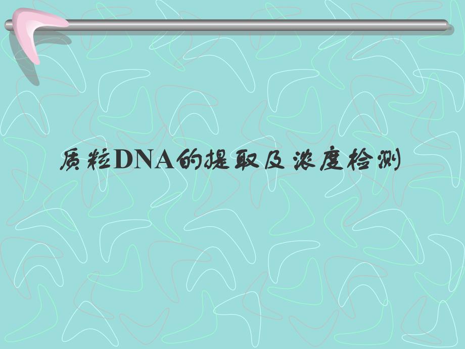 质粒DNA的提取及浓度判定.ppt_第1页