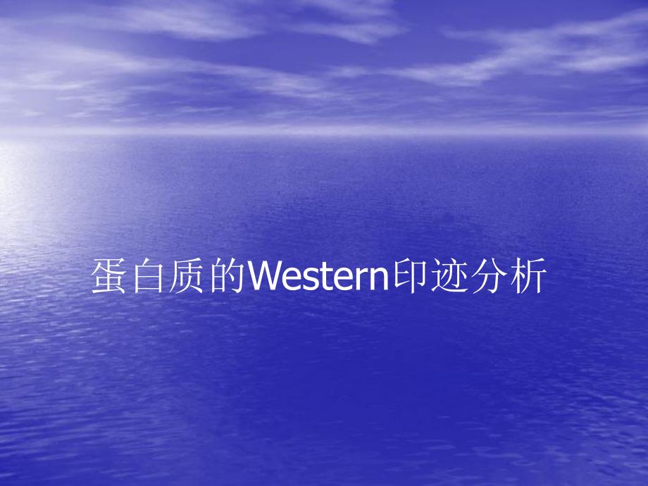 蛋白质的Wesrern印迹分析.ppt_第1页