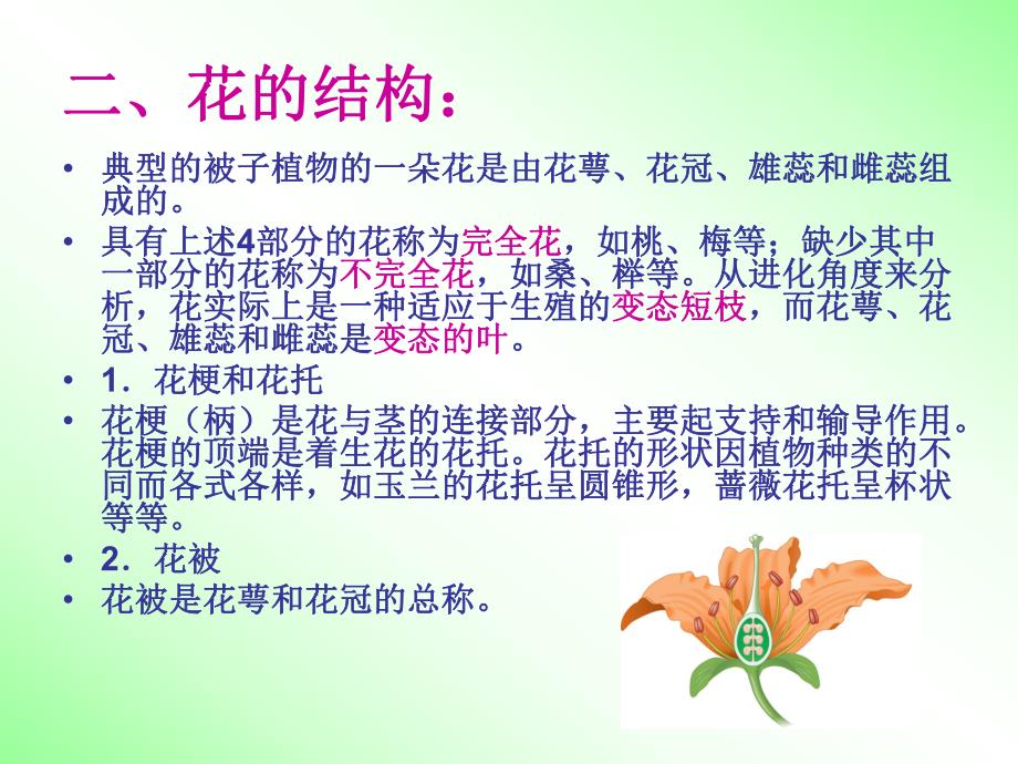 被子植物的生殖和生殖器官.ppt_第3页