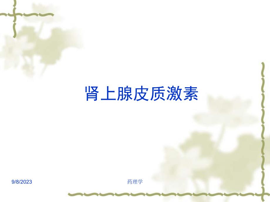 药理学课件15皮质激素.ppt_第1页