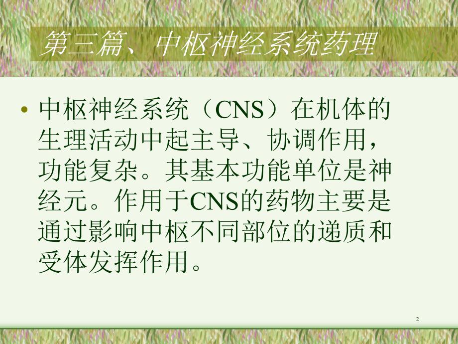 药理学第十一章全身麻醉药.ppt_第2页