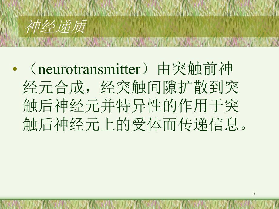 药理学第十一章全身麻醉药.ppt_第3页