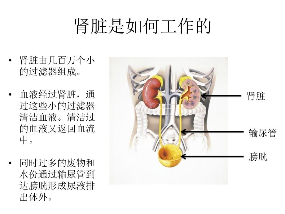 腹透培训课程ppt课件.ppt_第3页