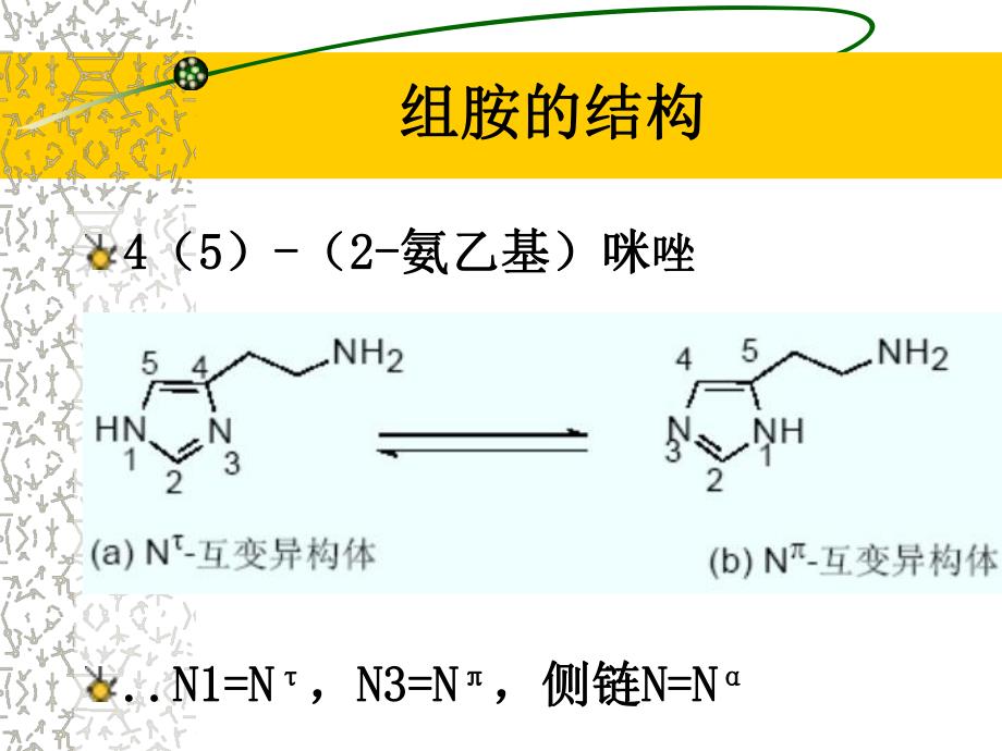 药理学g034第四节组胺H1受体拮抗剂.ppt_第3页