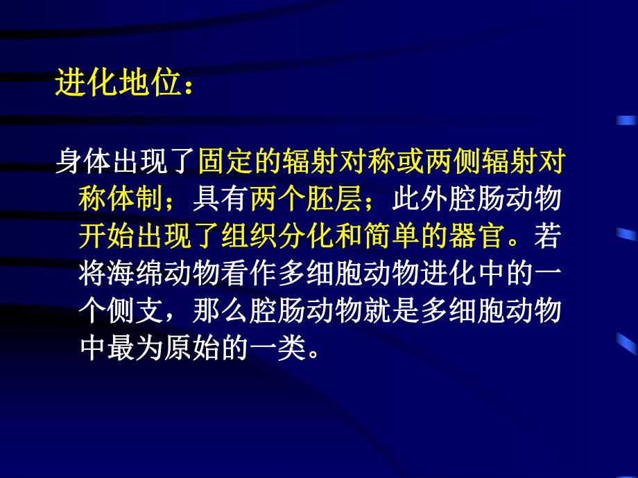 辐射对称的动物腔肠动物门.ppt_第3页