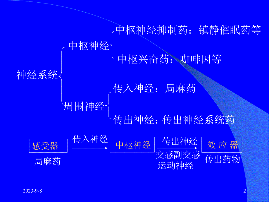 药理学传出神经系统药理概论.ppt_第2页